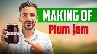 Plum Jam Banaya UHF-Nauni Processing Unit Mein | Pure Process Dekho | Raaj Perhate Vlogs