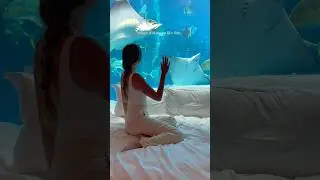 Is this a dream?! 🐠Staying in the Underwater Suite Atlantis the Palm is truly magical! #dubai
