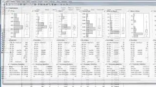Exploratory Analysis