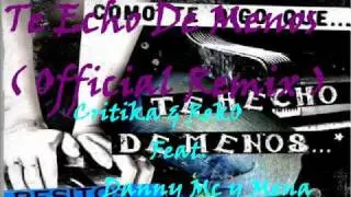 Critika & RekO Feat. Danny Mc y Mena - Te Echo De Menos Remix (Audio)
