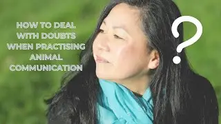 Animal Communication  - when you have doubts