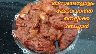 രുചിയൂറും നെല്ലിക്ക അച്ചാർ | Nellikka achar | Gooseberry | Amala Pickle | Malayalam