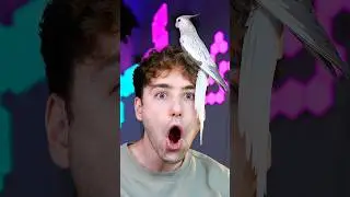 Disney Theory Part 7