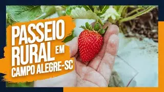 Passeio Rural em Campo Alegre - Santa Catarina