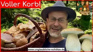 🍄 Steinpilze, Parasole & Waldchampignons &ndash; Pilzexplosion 2025 im Wald! 🌲✨ September 2025