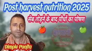 Post harvest nutrition programe 2025 // Preparations for 2026 season // Dimple Panjta // @bagwani...