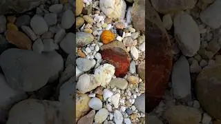 Beautiful red agate #gemstones #crystals #jade #petrifiedwood #diamond #agate