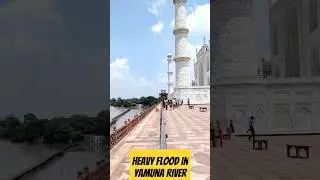 HEAVY FLOOD BEHIND TAJ MAHAL || YAMUNA RIVER #flood #yamuna #delhi #tajmahal