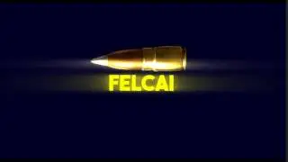 INTRO PARA FELCAI