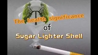 Значение для здоровья корпуса зажигалки Sugar Lighter Shell, сигары, сигареты, отказа от курения