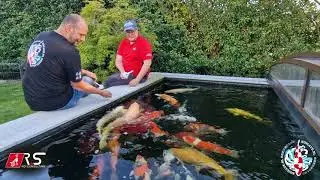 R.S KOI CONSULTING & KoiCave, samen sterk voor de koihobby! #01