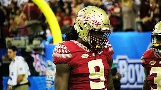 Josh Sweat FSU Career Highlights 