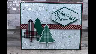 Facebook Live Replay Using Perfectly Plaid by Stampin' Up!