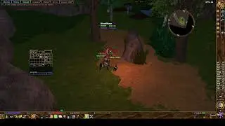 Double Dragon Blade 80-100 eternal lands instance
