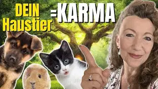 Warum dein Haustier dich ausgesucht hat! Astro-Psychologie: Seelenvertrag & Tier-Horoskop!