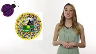 Scented Stickers Review Video