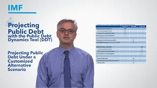 Projecting Public Debt Under A Customized Alternative Scenario