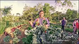 ATInorthmin: Binahon Agro Forestry Farm