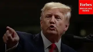 GOP Lawmaker Pushes Back On Dem Claims There Is No Deep State That Hurt Trump