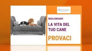 @IFuorimisura | Linea PET COLLECTION - Divani e Cucce per Cani e Gatti 🐕🐈&zwj;⬛