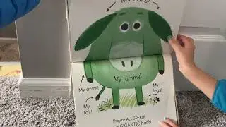 Storytime with Rebekah: Little Green Donkey by Anuska Allepuz
