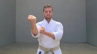 Karate Moves | MOROTE UKE - DOUBLE REINFORCED BLOCK