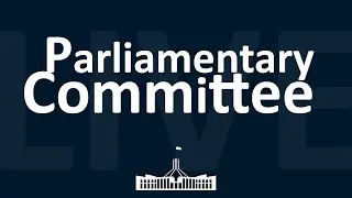 Joint Standing Committee on Trade and Investment Growth | 22/11/2024
