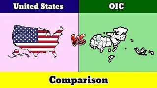 Let's Compare United States VS OIC | Country Comparison | Data Duck
