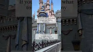 The BEST Birthday Gift for Disney Fans! #disney #disneyworld #disneyparks #shorts