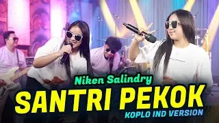 SANTRI PEKOK - NIKEN SALINDRY - KOPLO VERSION COVER BY KOPLO IND