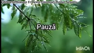 negativ creștin cu bucurie poartăți crucea vadari dela Timișoara negativ Fr Denys Emanuel Mailat