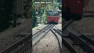 Dolder train in Zurich 🇨🇭 #dolder #shorts #zurich #switzerland #ytshort #foryou #viralshorts #train