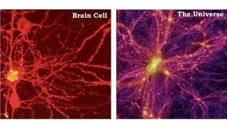 Scientists Say The Universe Is A Gigantic Living Organism Just Like Us