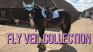 Fly Veil Collection | Part 2
