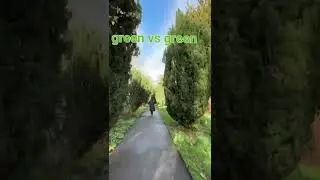 walk green||walking along green||amazing weather #shortvideo #shorts #youtubeshorts