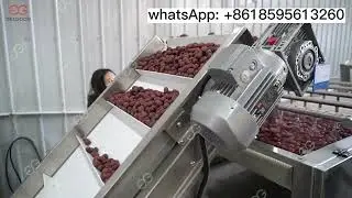 New Dates Washing And Drying Machine-Sand Removal Rate 100%