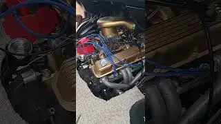 IT'S ALIVE! The Dajiban lives!