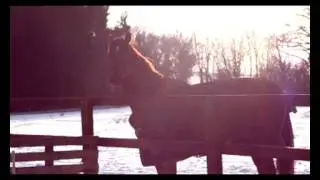 You Do It To Me!  //  Flo In Snow!