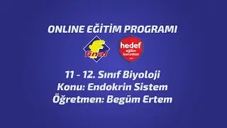 11 - 12. Sınıf Biyoloji Konu: Endokrin Sistem