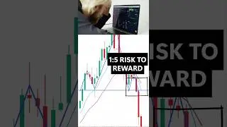 How I Became a Profitable Trader in Just 1 Year 📈