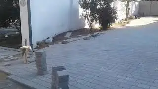 MondiseJA Landscaping  Pretoria East North Brick Paving Johannesburg | Garden Services | Industrial