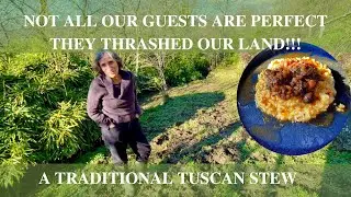 WILD BOAR STEW - A TRADITIONAL CASSEROLE FROM TUSCANY