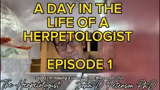 A DAY IN THE LIFE OF A HERPETOLOGIST EPISODE 1 THE HERPETOLOGIST VLOG JOHN D PETERSON PHD