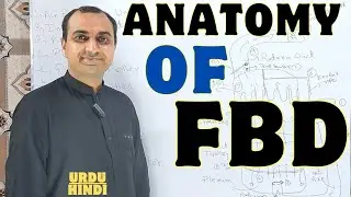 Structure Of FBD | Parts Of Fluid Bed Dryer