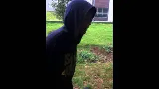 surfreestyle