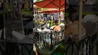 Outdoor Mall The Grove