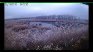2017 11 25  Отсад к речке Челбас Холодная покатушка