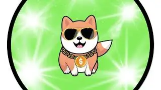 Hypedog is Launching!
