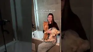 Inst: sadchenko_lera 💄 #уход #бьюти #рекомендации #креатор #популярно #popular #rekomendasi #rek