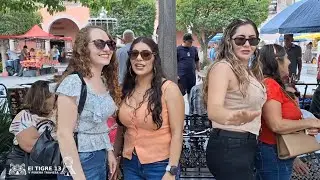 Domingo familiar 3 de agosto 2025 🐅